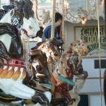 PHOTO FINISH A CAROUSEL HORSE (4)