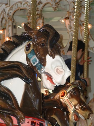 PHOTO FINISH A CAROUSEL HORSE (5)