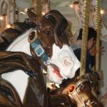 PHOTO FINISH A CAROUSEL HORSE (5)