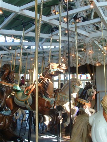 PHOTO FINISH A CAROUSEL HORSE (7)