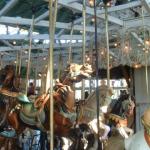 PHOTO FINISH A CAROUSEL HORSE (7)