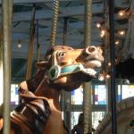 PHOTO FINISH A CAROUSEL HORSE (8)