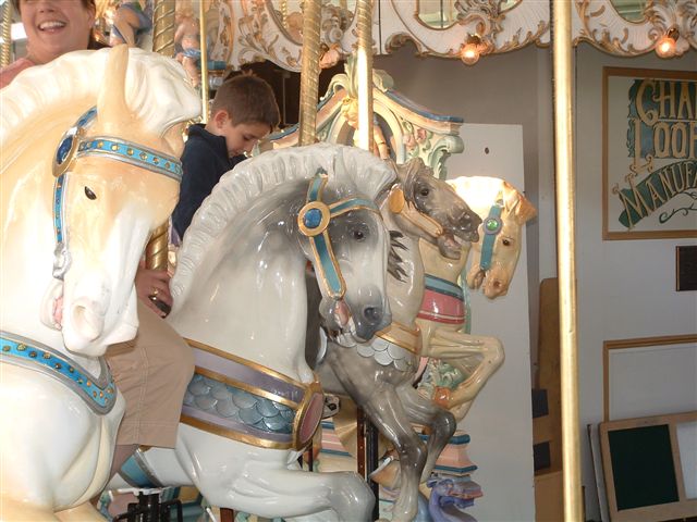 PHOTO FINISH A CAROUSEL HORSE (12)