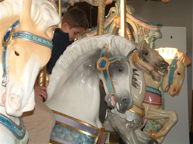 PHOTO FINISH A CAROUSEL HORSE (13)