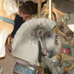 PHOTO FINISH A CAROUSEL HORSE (13)