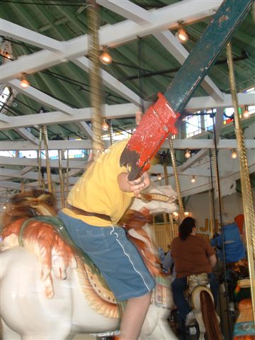 PHOTO FINISH A CAROUSEL HORSE (18)