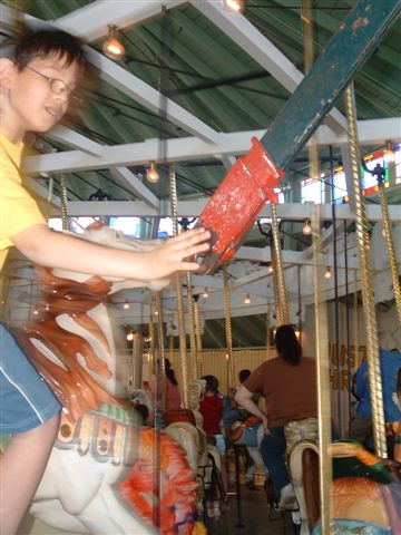 PHOTO FINISH A CAROUSEL HORSE (19)