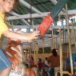 PHOTO FINISH A CAROUSEL HORSE (19)