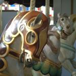 PHOTO FINISH A CAROUSEL HORSE (20)