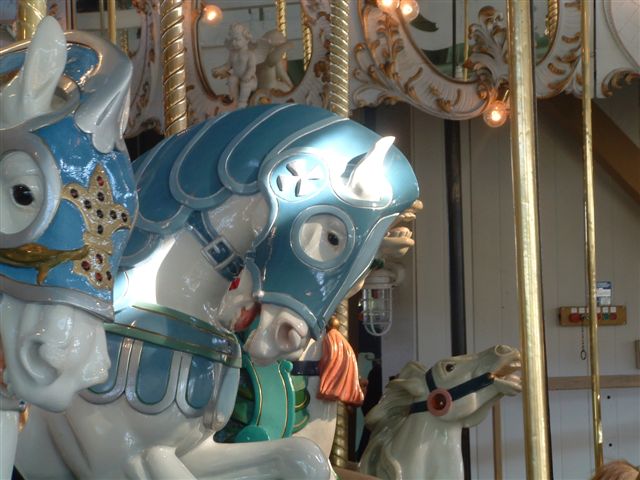 PHOTO FINISH A CAROUSEL HORSE (21)