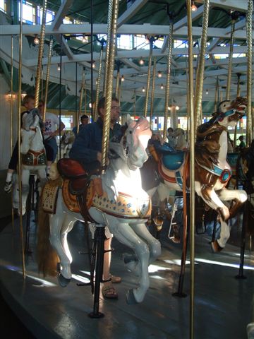 PHOTO FINISH A CAROUSEL HORSE (22)