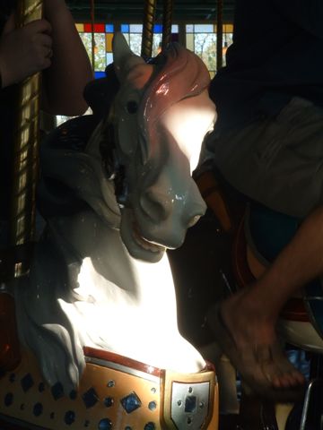 PHOTO FINISH A CAROUSEL HORSE (24)