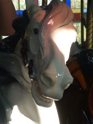 PHOTO FINISH A CAROUSEL HORSE (25)