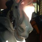PHOTO FINISH A CAROUSEL HORSE (25)