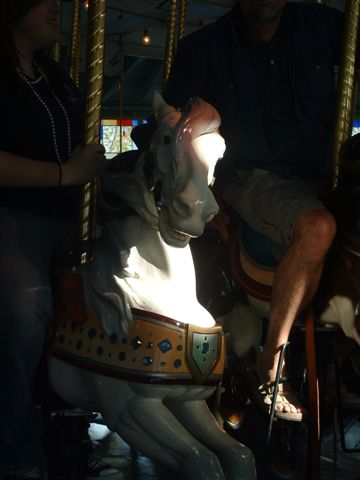 PHOTO FINISH A CAROUSEL HORSE (27)