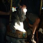 PHOTO FINISH A CAROUSEL HORSE (27)
