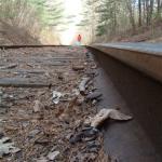 TRACKS (2)