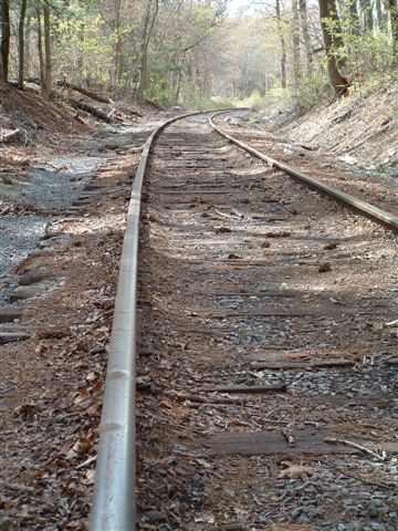 TRACKS (6)