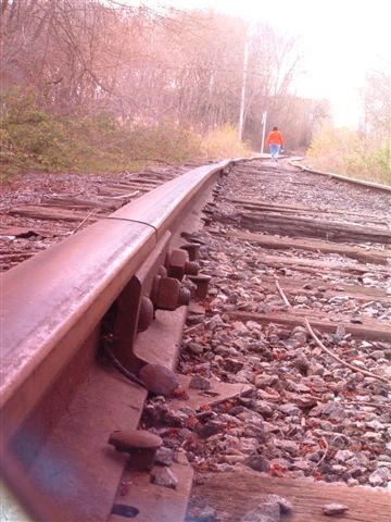 TRACKS (12)