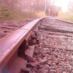 TRACKS (12)