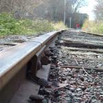 TRACKS (14)