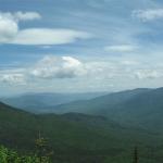 IMG_0593