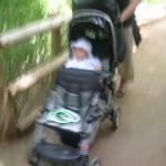 Roger Williams Park Zoo Hunt 048