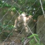 Roger Williams Park Zoo Hunt 054