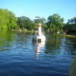 Roger Williams Park Zoo Hunt 138