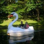 Roger Williams Park Zoo Hunt 141