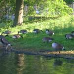 Roger Williams Park Zoo Hunt 146