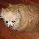 christmas 2007 298