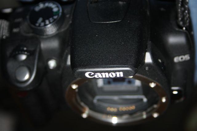 cameras (1)