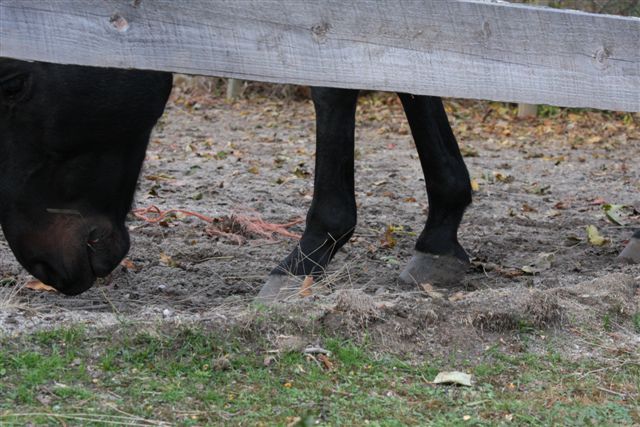 random footwear on the side of the road (4)