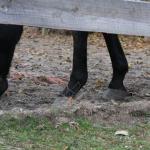 random footwear on the side of the road (4)