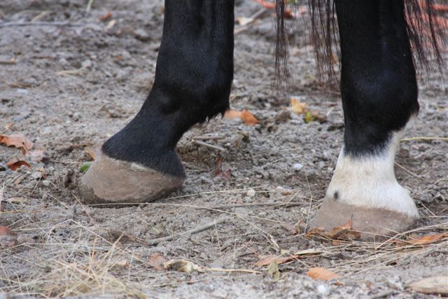 random footwear on the side of the road (7)