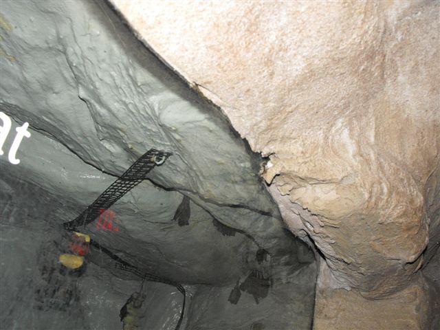 DSCF0128