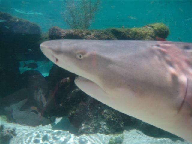 Cruise 2008 936
