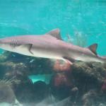 Cruise 2008 942