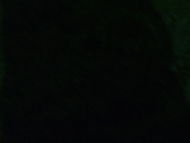 DSCF4374