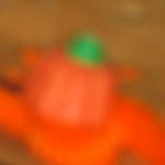 DSCF5709