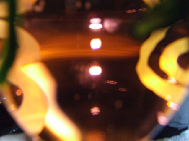 DSCF6223