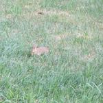 DSCF6873