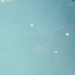 DSCF8124.JPG