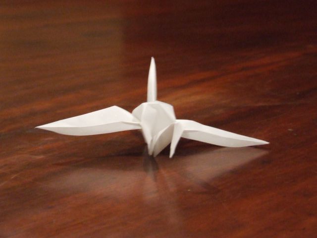 DSCF7826.JPG