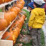 pumpkin fest 057