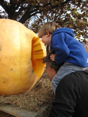 pumpkin fest 094