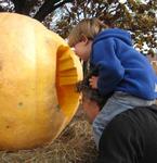 pumpkin fest 094