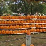 pumpkin fest 095