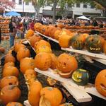 pumpkin fest 099